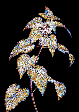 Prismatic Mosaic Botanical