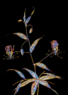 Prismatic Mosaic Lily
