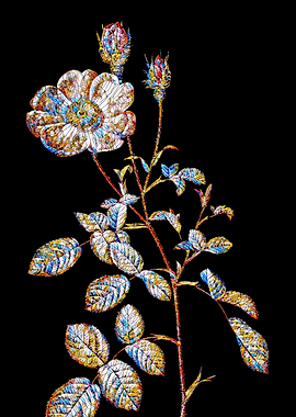 Prismatic Rose Mosaic