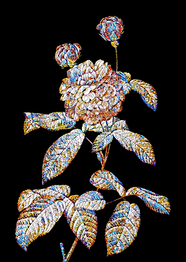 Stained Glass Rose Flower