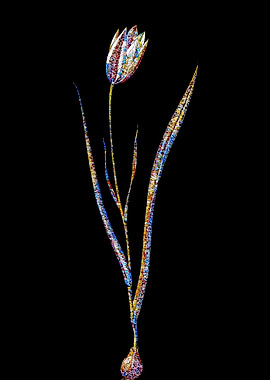 Stained Glass Tulip Flower