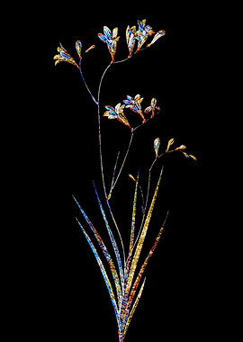 Prismatic Mosaic Botanical