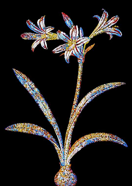 Stained Glass Amaryllis