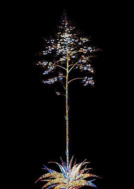 Prismatic Mosaic Botanical