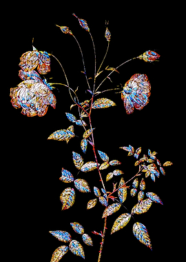 Stained Glass Rose Flower