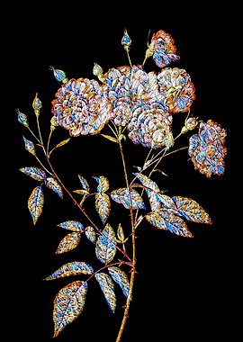 Prismatic Rose Mosaic