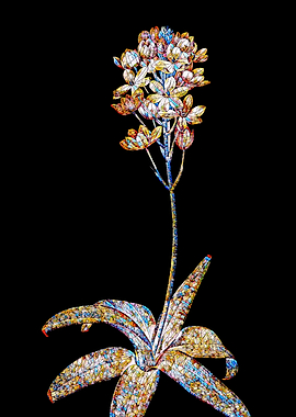 Prismatic Mosaic Botanical