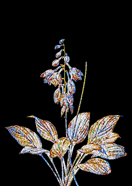 Prismatic Mosaic Botanical