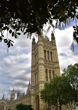 WESTMINSTER FROM THE PARK
