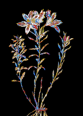 Stained Glass Lily Flower
