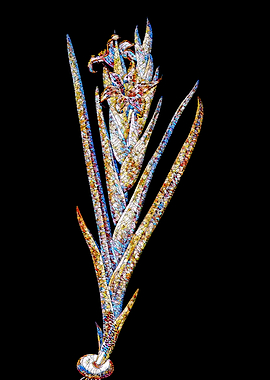 Prismatic Mosaic Botanical