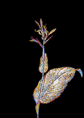 Stained Glass Botanical