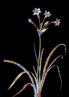 Prismatic Mosaic Botanical