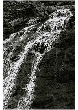 Fresh Black And White