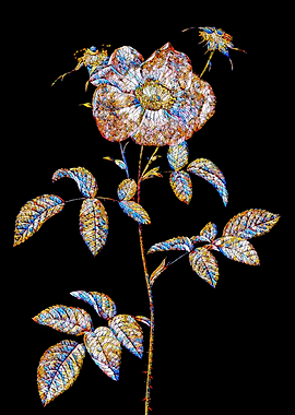 Prismatic Rose Mosaic