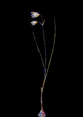 Rainbow Mosaic Flower Art