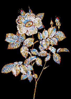 Prismatic Rose Mosaic