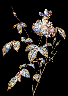 Prismatic Rose Mosaic