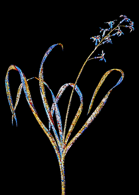 Prismatic Mosaic Botanical