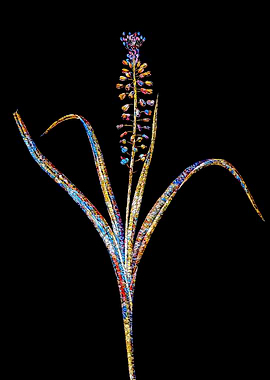 Prismatic Mosaic Botanical
