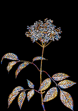 Stained Glass Botanical
