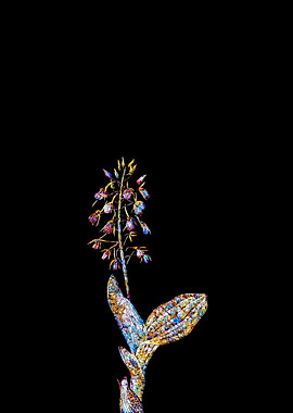 Stained Glass Botanical