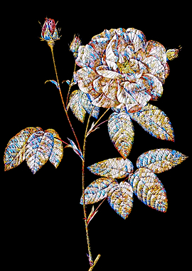 Stained Glass Rose Flower