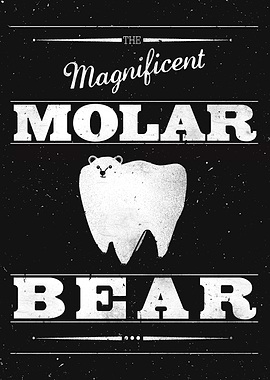 The Magnificent Molar Bear