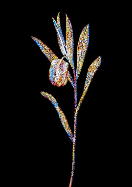Prismatic Mosaic Botanical