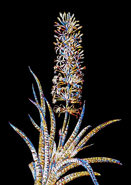 Rainbow Mosaic Flower Art