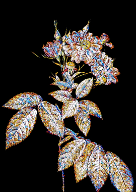 Stained Glass Rose Flower