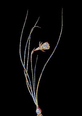 Stained Glass Daffodil