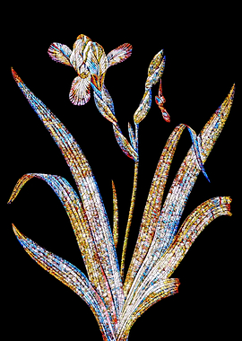 Stained Glass Iris Flower