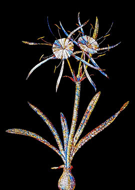 Prismatic Mosaic Botanical