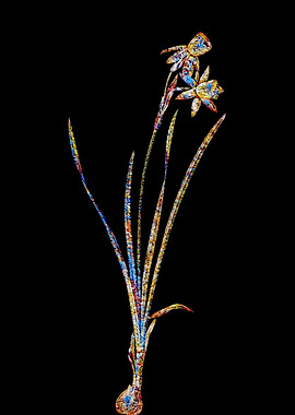 Stained Glass Narcissus