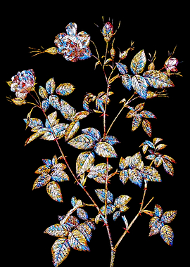 Stained Glass Rose Flower