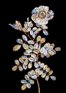 Stained Glass Rose Flower