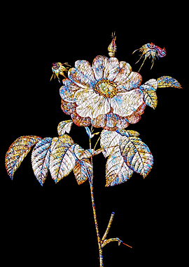 Prismatic Rose Mosaic