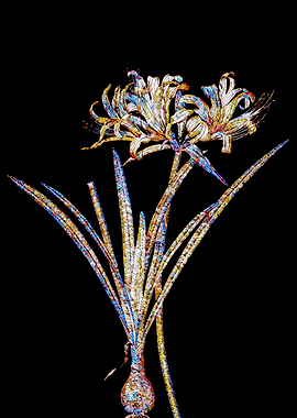 Stained Glass Lily Flower