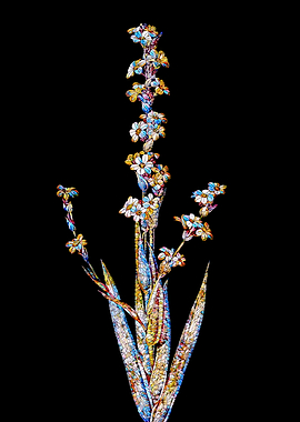 Stained Glass Botanical