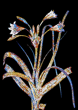 Stained Glass Lily Flower