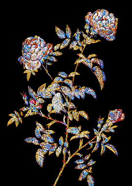 Prismatic Rose Mosaic