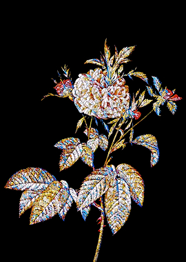 Stained Glass Rose Flower