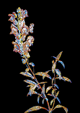 Rainbow Mosaic Flower Art