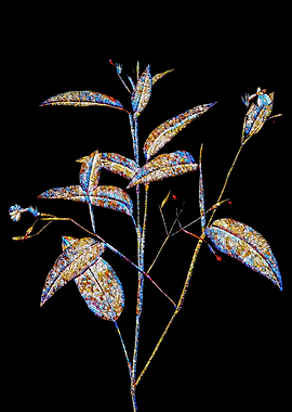 Stained Glass Botanical