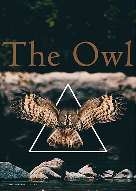 The Owl