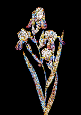 Stained Glass Iris Flower