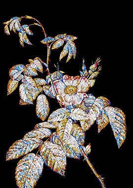 Stained Glass Rose Flower