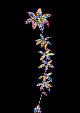 Prismatic Mosaic Lily