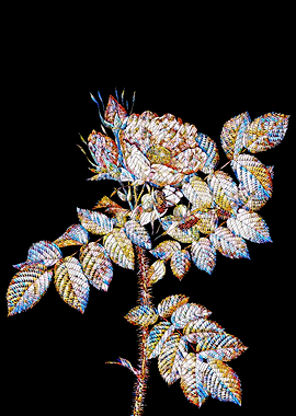 Stained Glass Rose Flower